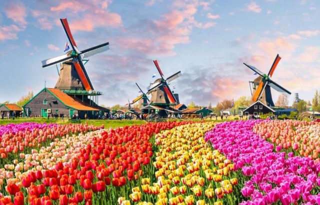 تور و جاذبه های گردشگری هلند
